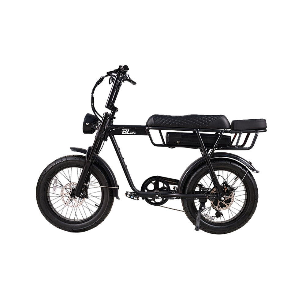 BL EB2 250W 13Ah Fat Tire Electric Bike