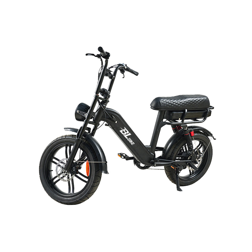 BL Q9 250W 15Ah All-Terrain Electric Bike