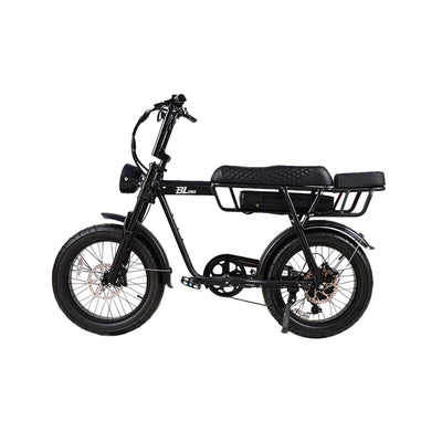 BL EB2 250W 13Ah Fat Tire Electric Bike