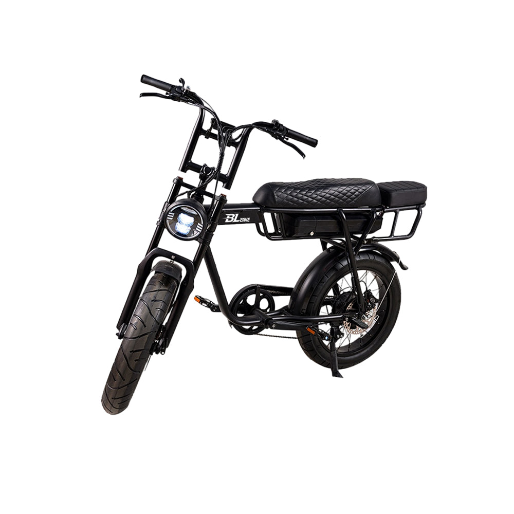 BL EB2 250W 13Ah Fat Tire Electric Bike