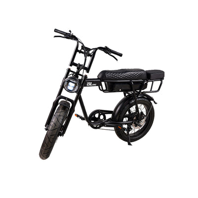 BL EB2 250W 13Ah Fat Tire Electric Bike