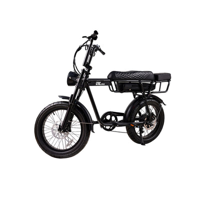 BL EB2 250W 13Ah Fat Tire Electric Bike