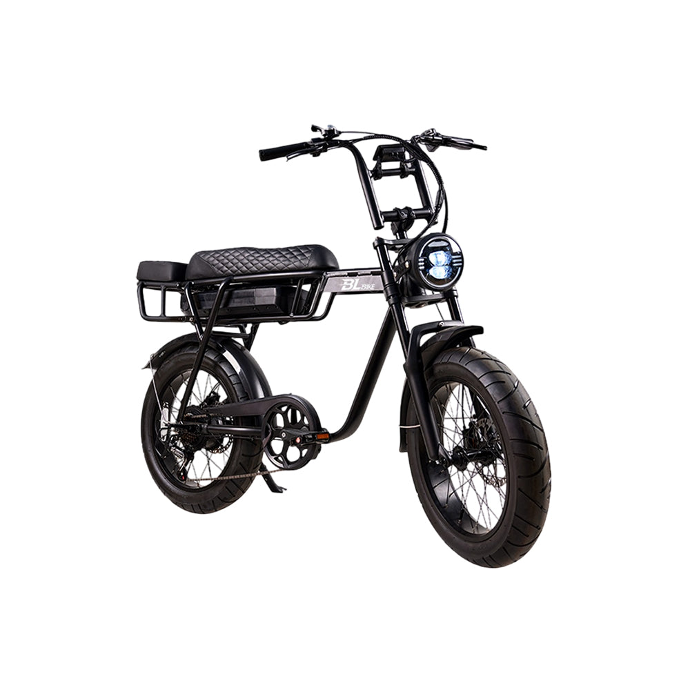 BL EB2 250W 13Ah Fat Tire Electric Bike