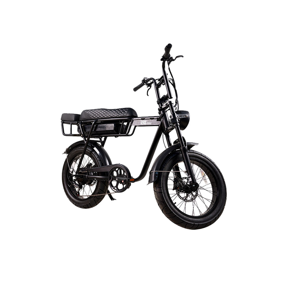 BL EB2 250W 13Ah Fat Tire Electric Bike