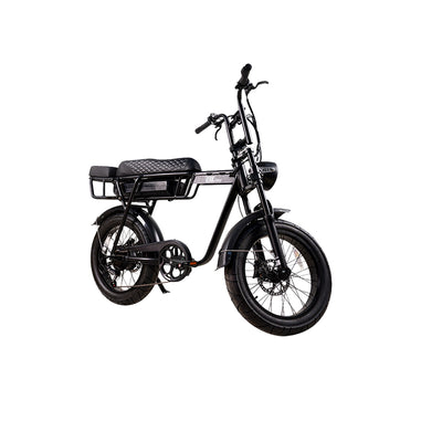 BL EB2 250W 13Ah Fat Tire Electric Bike