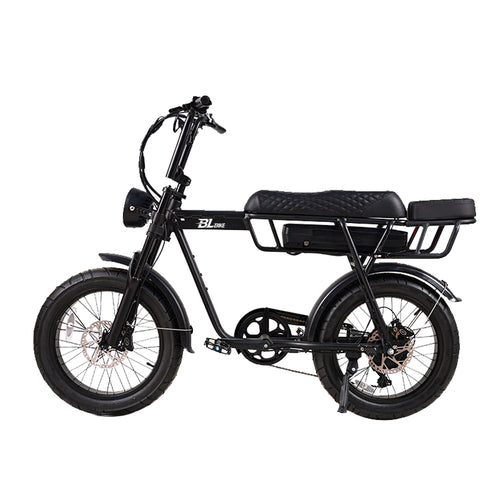 BL EB2 250W 13Ah Fat Tire Electric Bike