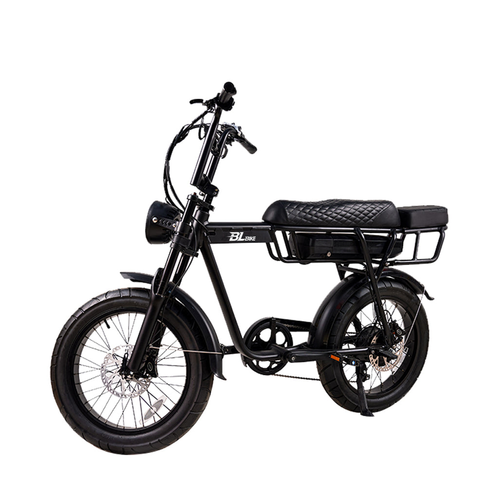 BL EB2 250W 13Ah Fat Tire Electric Bike