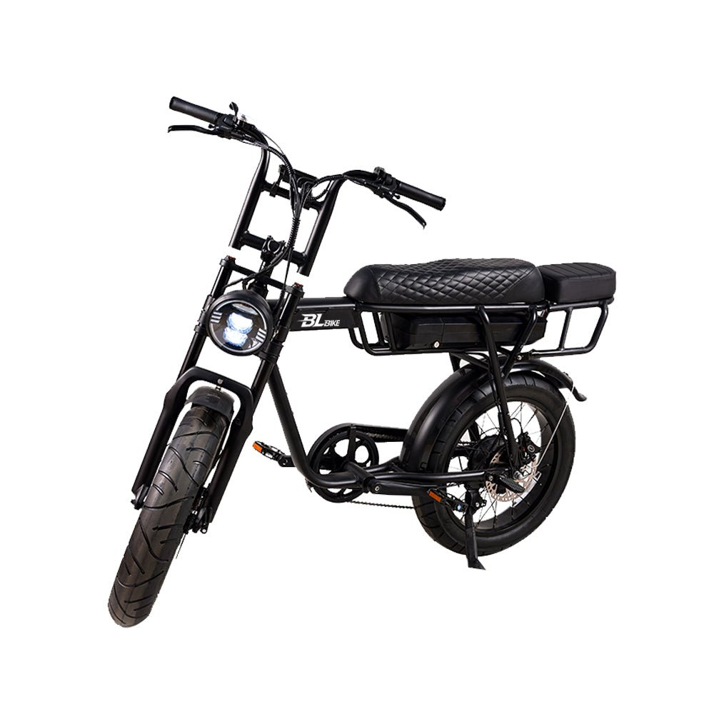 BL EB2 250W 13Ah Fat Tire Electric Bike