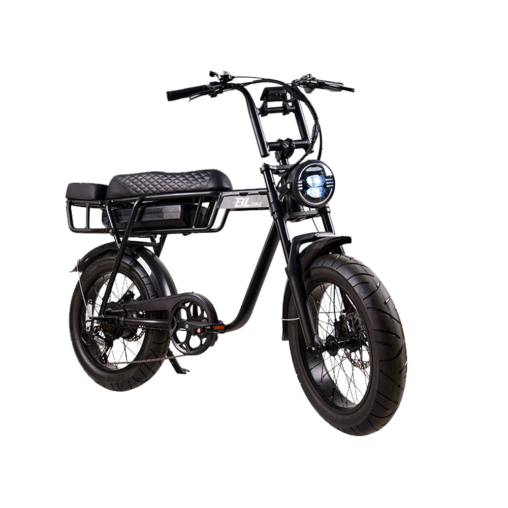 BL EB2 250W 13Ah Fat Tire Electric Bike