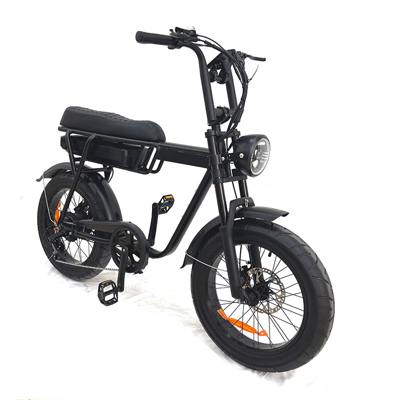 BL Ebike Special Order 01