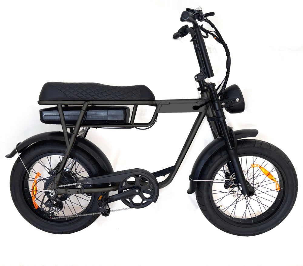 BL Ebike Special Order 01
