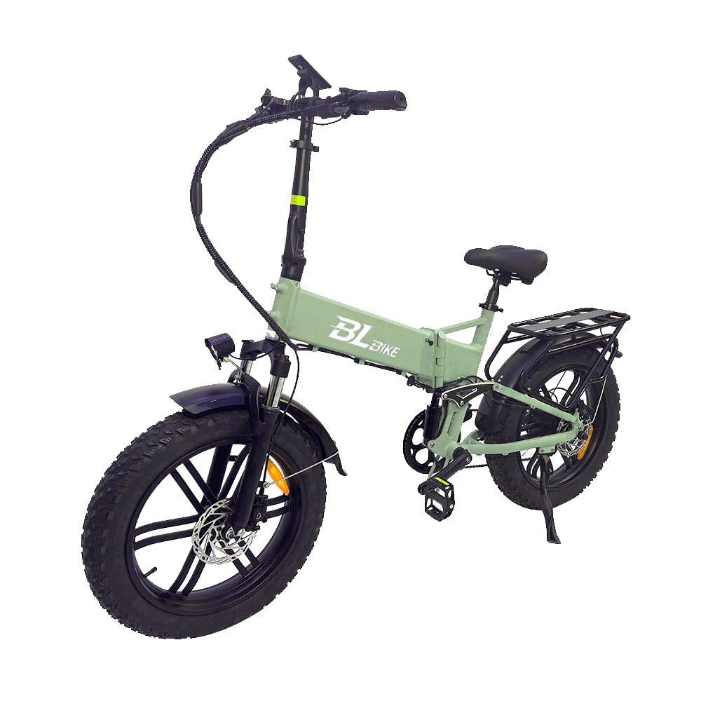 BL FB16 250W 48V 13Ah Folding Fat Tire Electric Bike