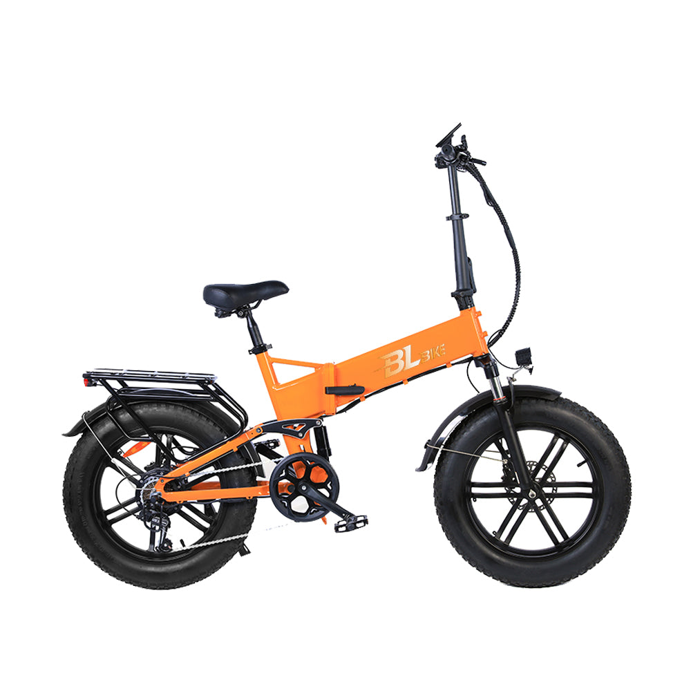 BL FB16 250W 48V 13Ah Folding Fat Tire Electric Bike