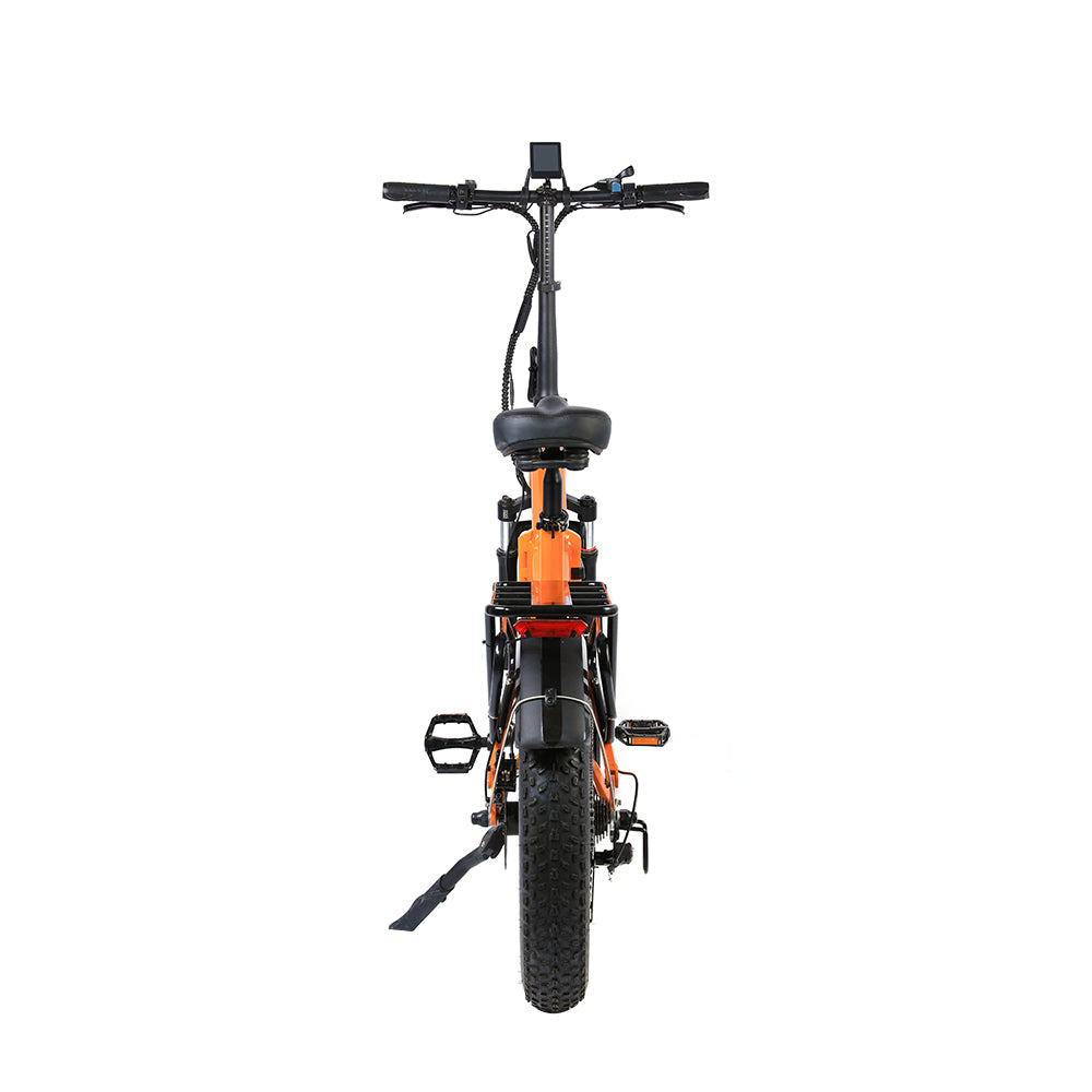 BL FB16 250W 48V 13Ah Folding Fat Tire Electric Bike
