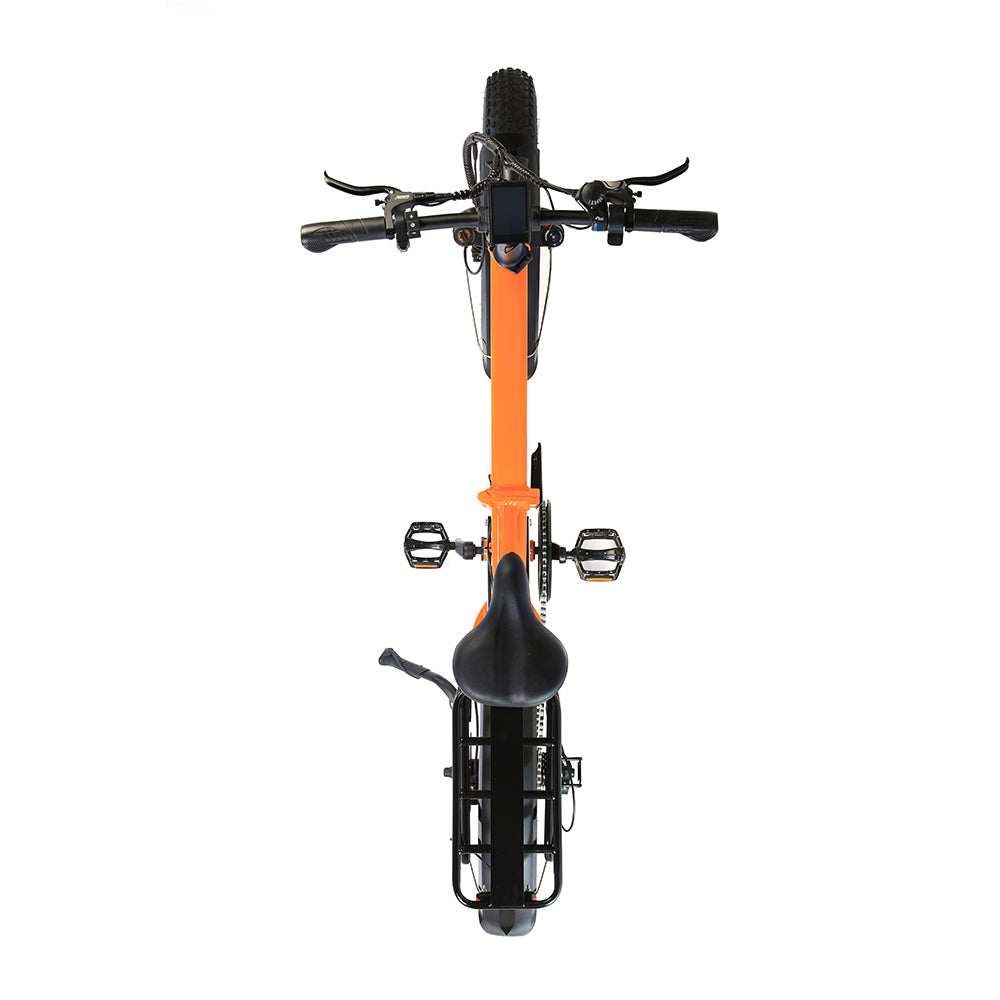 BL FB16 250W 48V 13Ah Folding Fat Tire Electric Bike