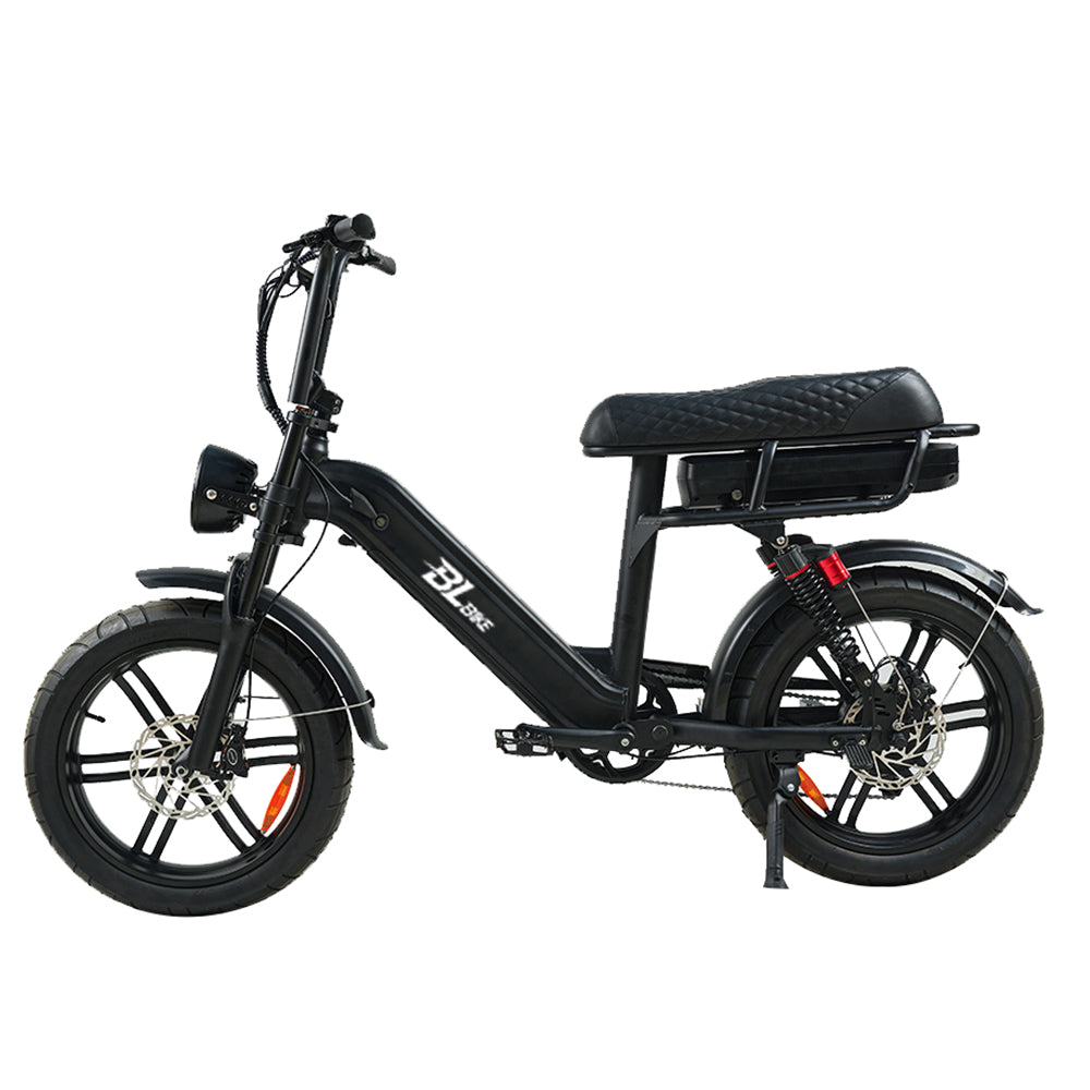 BL Q9 250W 15Ah All-Terrain Electric Bike