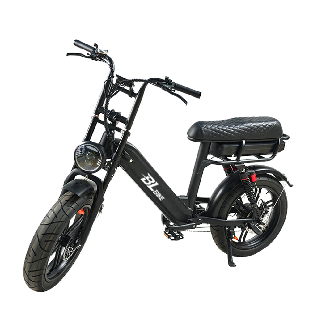 BL Q9 250W 15Ah All-Terrain Electric Bike