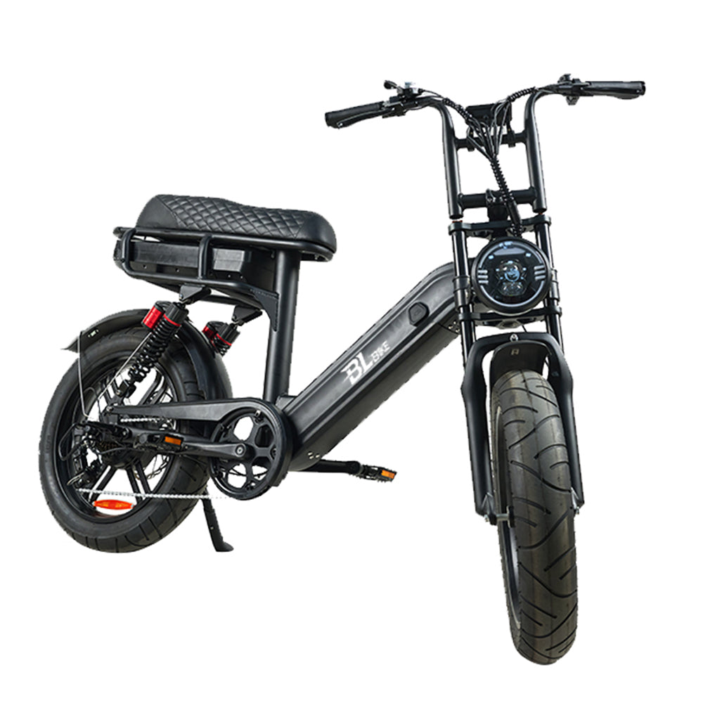 BL Q9 250W 15Ah All-Terrain Electric Bike