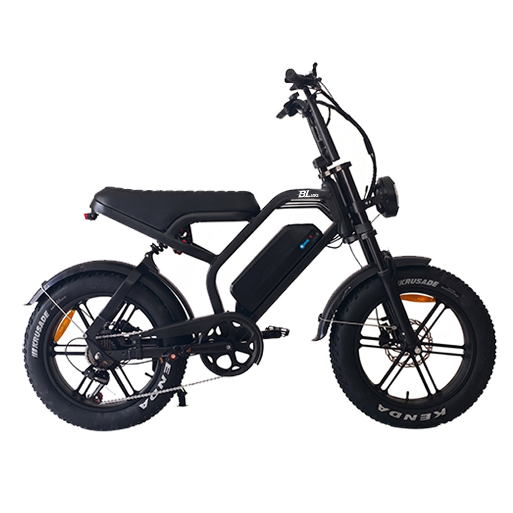 BL V20 PRO 250W 48V 18Ah Folding Fat Tire Electric Bike
