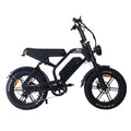 BL V20 PRO 250W 48V 18Ah Folding Fat Tire Electric Bike