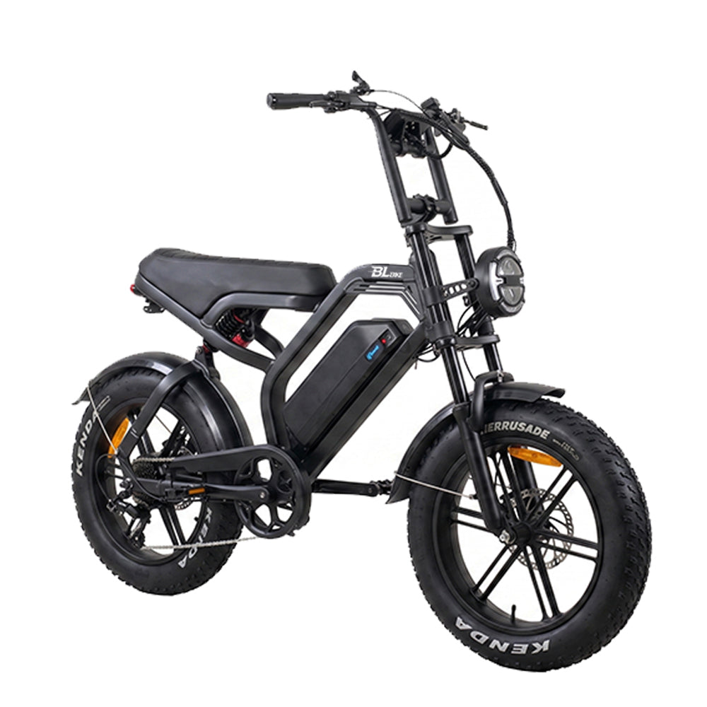 BL V20 PRO 250W 48V 18Ah Folding Fat Tire Electric Bike