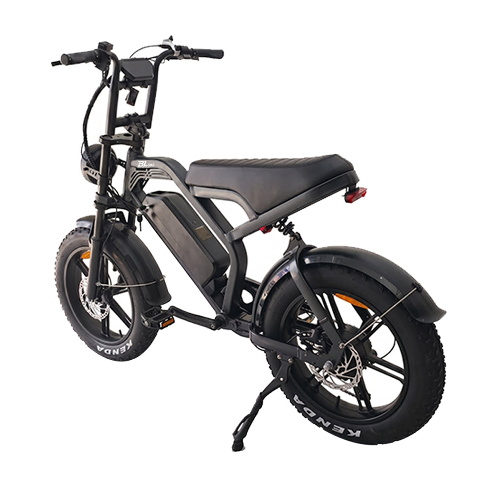 BL V20 PRO 250W 48V 18Ah Folding Fat Tire Electric Bike