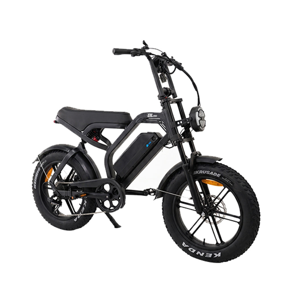 BL V20 PRO 250W 48V 18Ah Folding Fat Tire Electric Bike