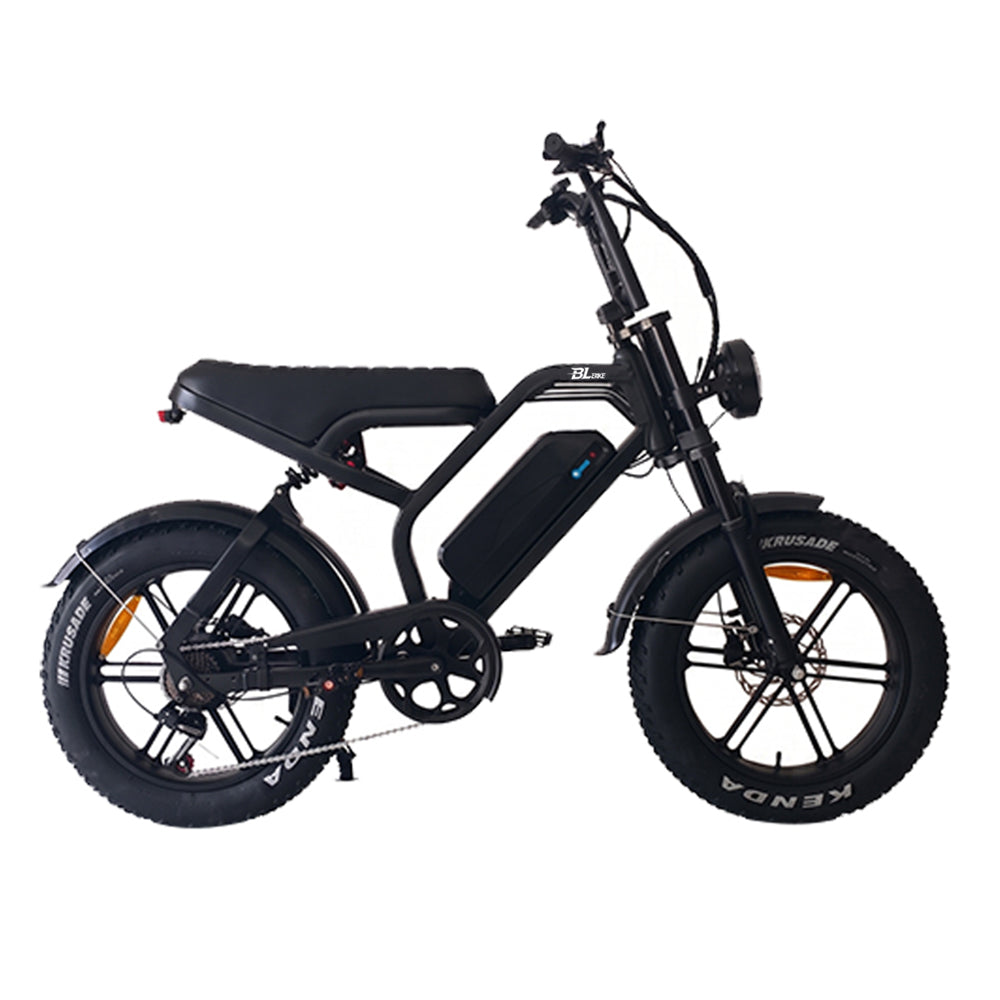 BL V20 PRO 250W 48V 18Ah Folding Fat Tire Electric Bike